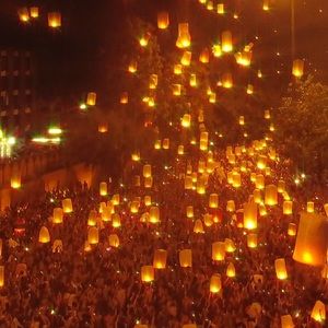 Meet your Posher, Zoey